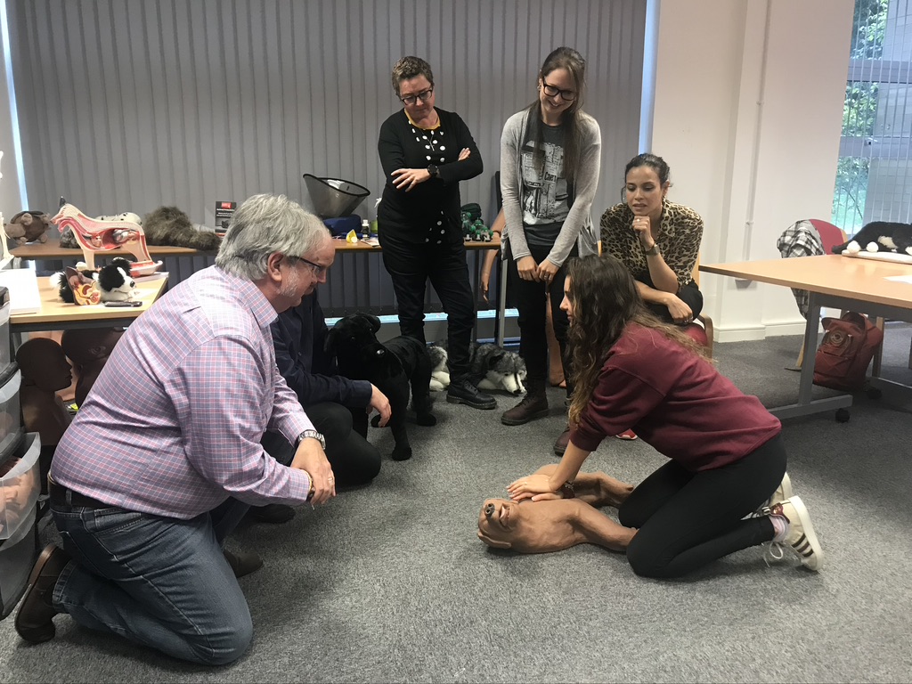 E7CCDFA6-63FC-44EA-B2F6-F3E6A9A3971B_1_105_c